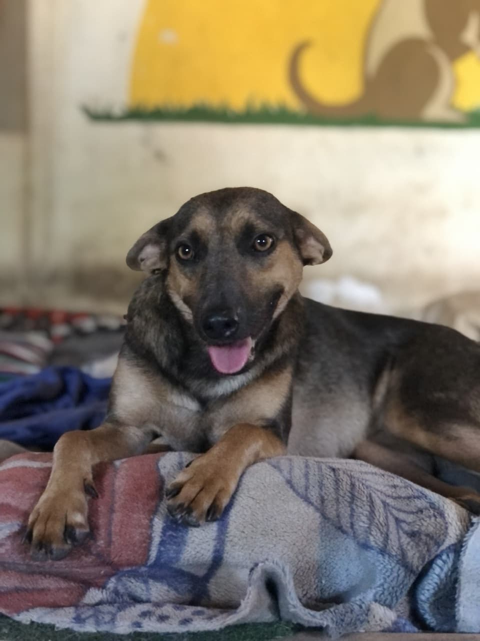 PERLA