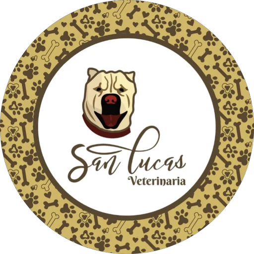Logo de San Lucas